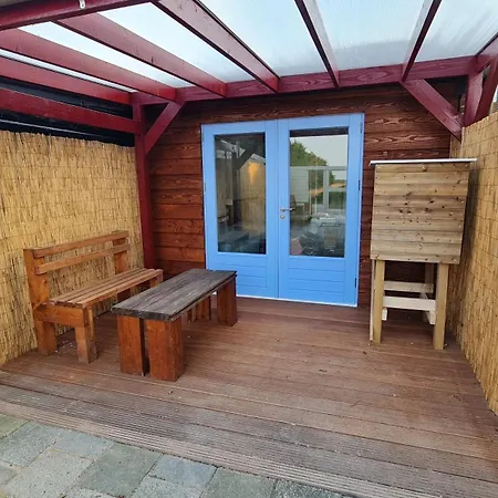The Shed *
