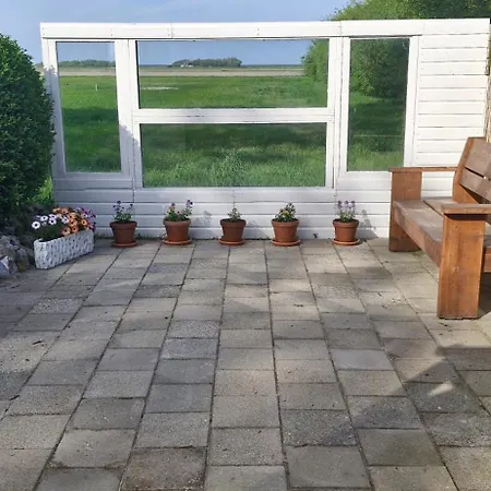 Bed & Breakfast The Shed De Cocksdorp (Texel)