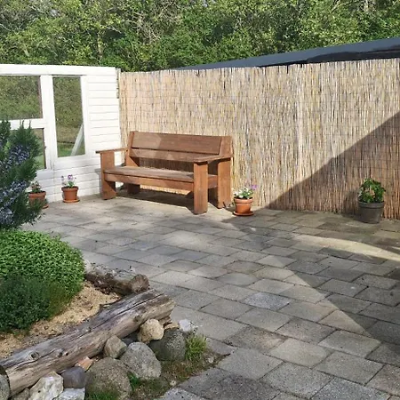 The Shed *
