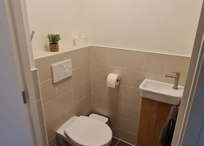 The Shed דה קוקסדורפ